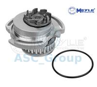 Meyle Motore di Sostituzione Raffreddamento Acqua Pompa Dell'Acqua 113 012 0025