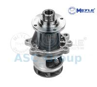 Meyle Motore di Sostituzione Raffreddamento Acqua Pompa Dell'Acqua 313 011 2100
