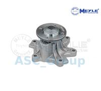 Meyle Motore di Sostituzione Raffreddamento Acqua Pompa Dell'Acqua 313 220 0010