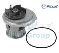 Meyle Motore di Sostituzione Raffreddamento Acqua Pompa Dell'Acqua 613 220 0011