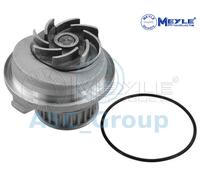 Meyle Motore di Sostituzione Raffreddamento Acqua Pompa Dell'Acqua 613 600 4054