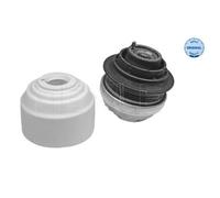 MEYLE Motore Dx SX Supporto Idraulico per MERCEDES-BENZ CLASSE S W221 W220