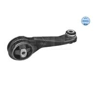 MEYLE Motore Posteriore Cuscinetto IN Gomma-metallo per Renault Clio II Box SB0/