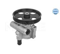MEYLE Pompa Del Servosterzo Idraulico per Renault Clio II Kangoo Espresso Dacia