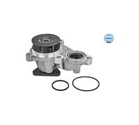 MEYLE Pompa dell’acqua, raffreddamento motore 37-132200019