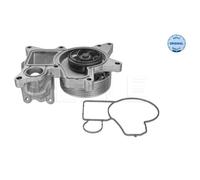 MEYLE Pompa Dell'Acqua Per BMW X5 E70 5 Serie F10 F18 F11 F01 F02 F03 F04 F07