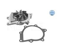 MEYLE Pompa Dell'Acqua Per Ford Kuga II Mondeo V Turnier Land Rover Freelander 2