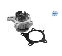 MEYLE Pompa Dell'Acqua Per Hyundai I30 FD GD IX35 LM EL ELH I40 CW VF TLE TL