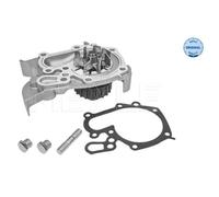 MEYLE Pompa Dell'Acqua Per Renault Clio II BB_ CB_ Kangoo KC0/1_ B/C57_ 5/357_