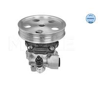 MEYLE Pompa Servo Sterzo Idraulica Per Audi Q5 8RB 8R 114 631 0042