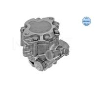 MEYLE Pompa Servosterzo Idraulica Per VW LT 28-35 II Bus 2DM 2DX0FE 2DX0AE