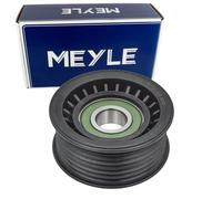 Rullo tenditore, Cinghia Poly-V per FORD SEAT VW 100 009 0003