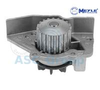 Meyle Ricambio Motore Raffreddamento Acqua di Pompa Dell'Acqua 11-13 012 0183