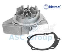 Meyle Ricambio Motore Raffreddamento Acqua di Pompa Dell'Acqua 11-13 220 0001