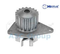 Meyle Ricambio Motore Raffreddamento Acqua di Pompa Dell'Acqua 11-13 220 0006