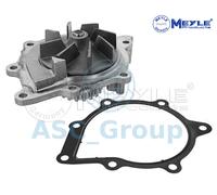 Meyle Ricambio Motore Raffreddamento Acqua di Pompa Dell'Acqua 11-13 220 0021