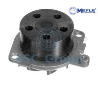 Meyle Ricambio Motore Raffreddamento Acqua di Pompa Dell'Acqua 15-13 060 0005