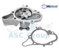 Meyle Ricambio Motore Raffreddamento Acqua di Pompa Dell'Acqua 28-13 220 0005