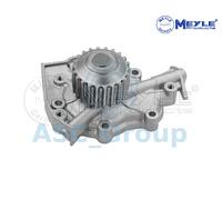 Meyle Ricambio Motore Raffreddamento Acqua di Pompa Dell'Acqua 29-13 220 0000
