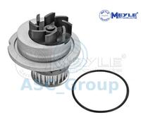 Meyle Ricambio Motore Raffreddamento Acqua di Pompa Dell'Acqua 29-13 220 0001