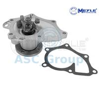 Meyle Ricambio Motore Raffreddamento Acqua di Pompa Dell'Acqua 30-13 220 0013