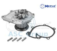 Meyle Ricambio Motore Raffreddamento Acqua di Pompa Dell'Acqua 30-13 220 0014