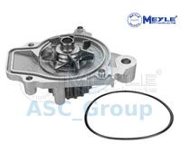 Meyle Ricambio Motore Raffreddamento Acqua di Pompa Dell'Acqua 31-13 192 0001