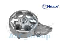 Meyle Ricambio Motore Raffreddamento Acqua di Pompa Dell'Acqua 31-13 220 0001