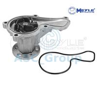 Meyle Ricambio Motore Raffreddamento Acqua di Pompa Dell'Acqua 31-13 220 0011