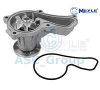 Meyle Ricambio Motore Raffreddamento Acqua di Pompa Dell'Acqua 31-13 220 0012