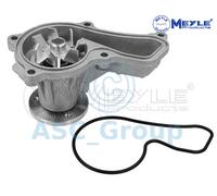 Meyle Ricambio Motore Raffreddamento Acqua di Pompa Dell'Acqua 31-13 220 0012