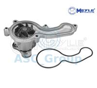 Meyle Ricambio Motore Raffreddamento Acqua di Pompa Dell'Acqua 31-13 220 0017