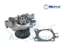 Meyle Ricambio Motore Raffreddamento Acqua di Pompa Dell'Acqua 32-13 220 0003