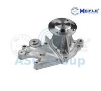 Meyle Ricambio Motore Raffreddamento Acqua di Pompa Dell'Acqua 33-13 220 0002