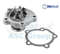 Meyle Ricambio Motore Raffreddamento Acqua di Pompa Dell'Acqua 33-13 220 0004