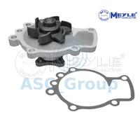 Meyle Ricambio Motore Raffreddamento Acqua di Pompa Dell'Acqua 36-13 220 0000