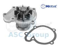 Meyle Ricambio Motore Raffreddamento Acqua di Pompa Dell'Acqua 36-13 220 0004