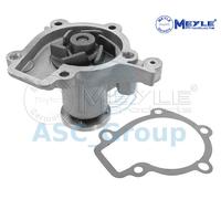 Meyle Ricambio Motore Raffreddamento Acqua di Pompa Dell'Acqua 37-13 023 0001
