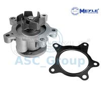 Meyle Ricambio Motore Raffreddamento Acqua di Pompa Dell'Acqua 37-13 220 0008