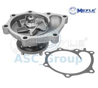 Meyle Ricambio Motore Raffreddamento Acqua di Pompa Dell'Acqua 37-13 220 0010