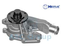 Meyle Ricambio Motore Raffreddamento Acqua di Pompa Dell'Acqua 53-13 043 0001