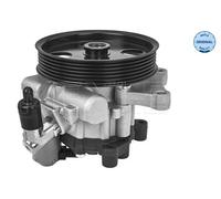 MEYLE Servopumpe Idraulico per Mercedes-Benz SLK Modello T 014 631 0016