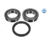 MEYLE Set Cuscinetti Posteriore Entrambi i Lati per VW Crafter 30-35 Bus 2E_