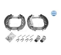 MEYLE Set Di Freni Posteriori Per Fiat Doblo Cargo 223 Lancia Musa