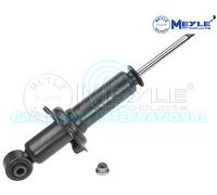 Meyle Sospensione Posteriore Ammortizzatore 31-26 725 0002