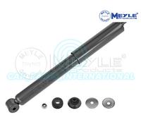 Meyle Sospensione Posteriore Ammortizzatore 626 725 0016