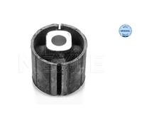 Supporto, Corpo assiale per BMW 300 331 7101