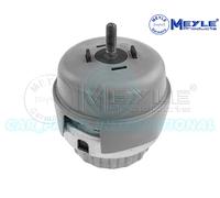 Meyle Supporto Motore Anteriore Sinistro Montaggio 100 199 0173