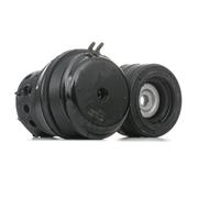 MEYLE Supporto motore Cuscinetto gomma-metallo per VW GOLF I Cabriolet (155) 100