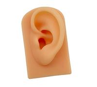 MEYZJRC Modello Anatomia Orecchio Silicone Modellazione Corpo Umano Strumenti Didattici Dimostrazione Pratica Sensazione Naturale Adatto per Apprendisti Espos, Pelle